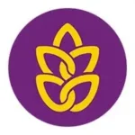 گندم طلایی کوروش